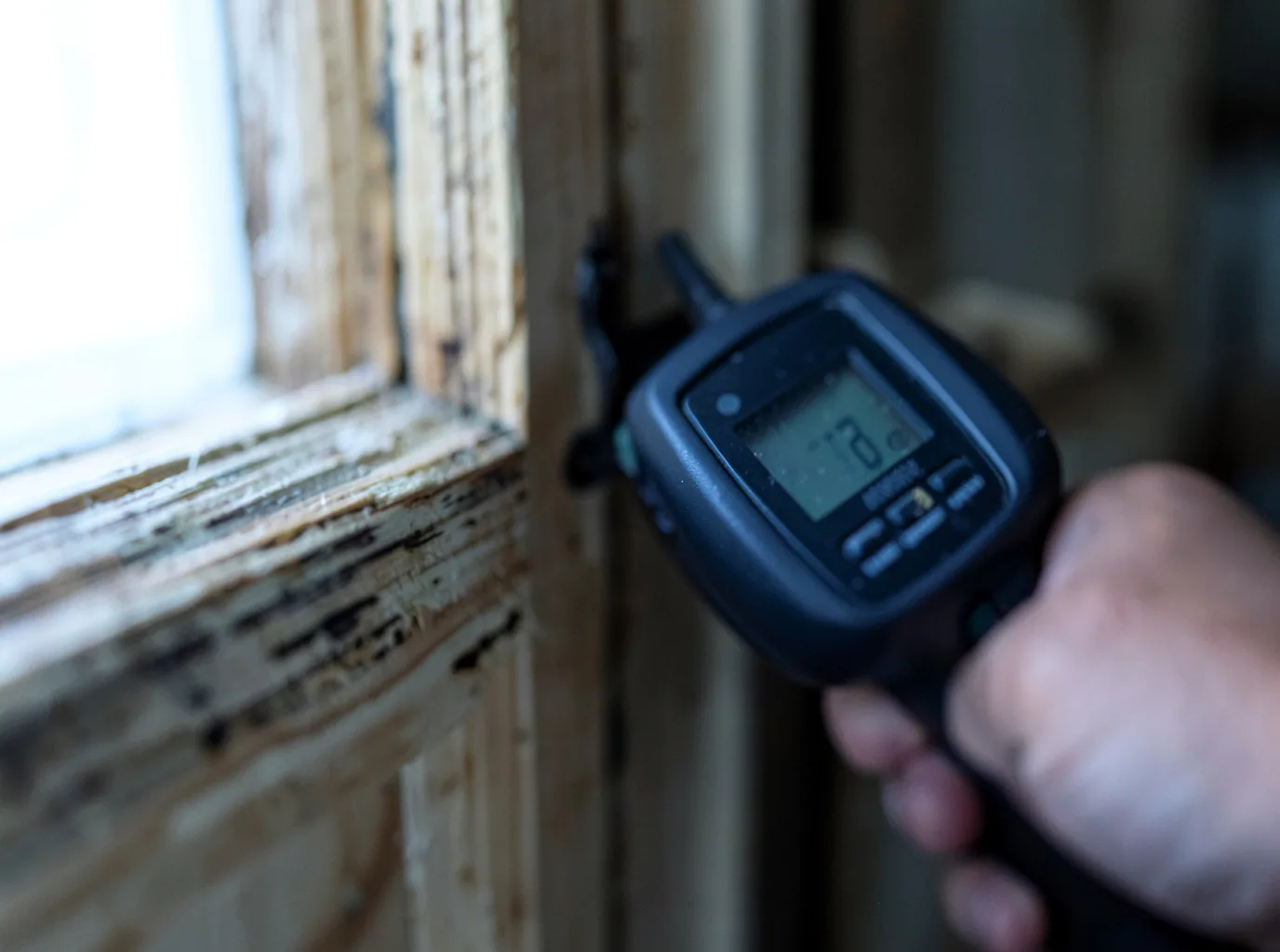 Moisture Inspection And Documentation in Apex, NC
